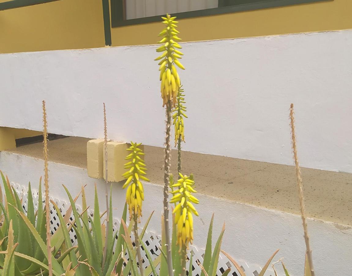 Caroni Appartement